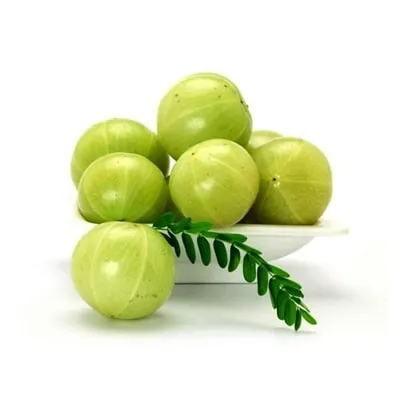 Amla (Amloki) 250 gm